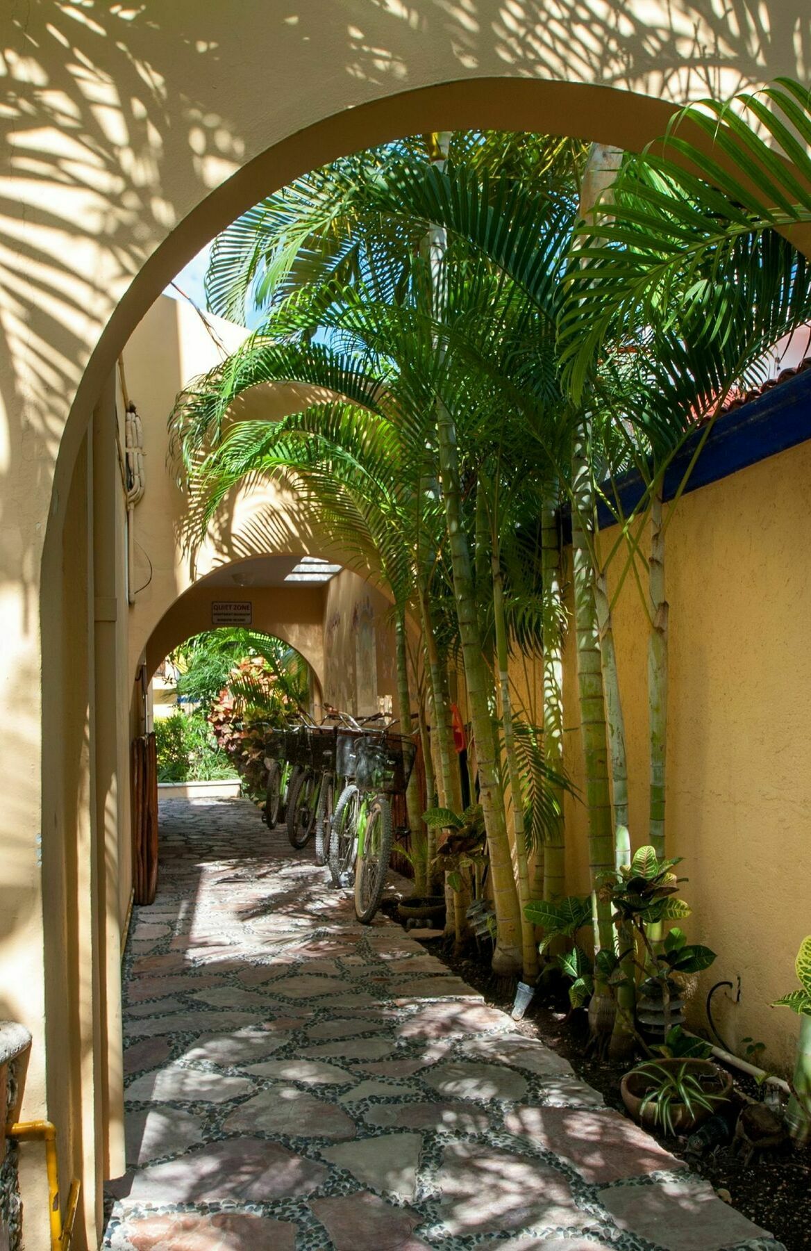 Abbey Del Sol Lejlighedshotel Puerto Morelos Eksteriør billede